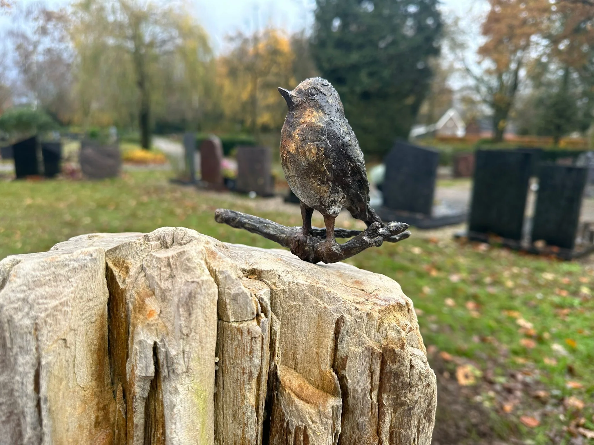 Natuurlijke gedenkbeelden en urnen van Jet