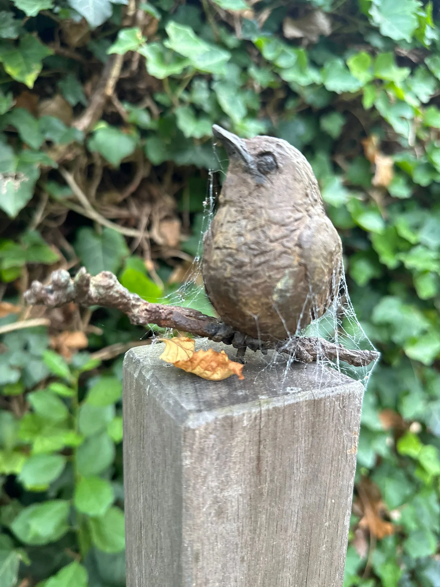 Natuurlijke gedenkbeelden en urnen van Jet